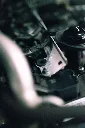 VWR190007-2.webp
