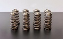 KVS99-HARLEY-DAVIDSON-SPRING-KIT-PRODUCT-2-WEB.jpg