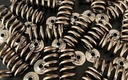 ecoboost-springs-1.webp