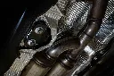 VWR810009-2.webp