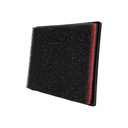PP1598_4.jpg