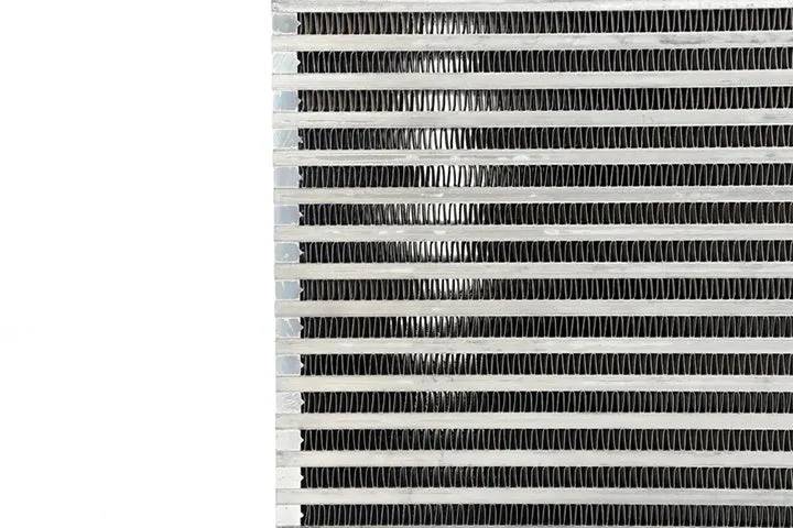 a417259bb96d4e8a80696b4ec86bca00.jpg