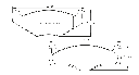 Pagid-4011.png