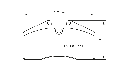 Pagid-1204.png