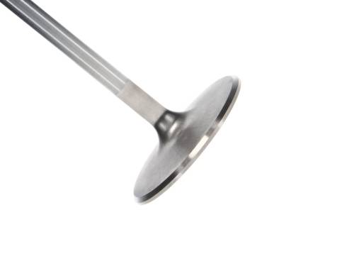 Manley BBC Intake Valve 2.300 5.244 .3110