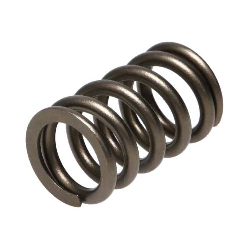 [22155-1] Manley Valve Spring NISSAN PATROL TB48