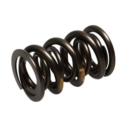[261454] Manley Valve Spring Kit NexTek Spring