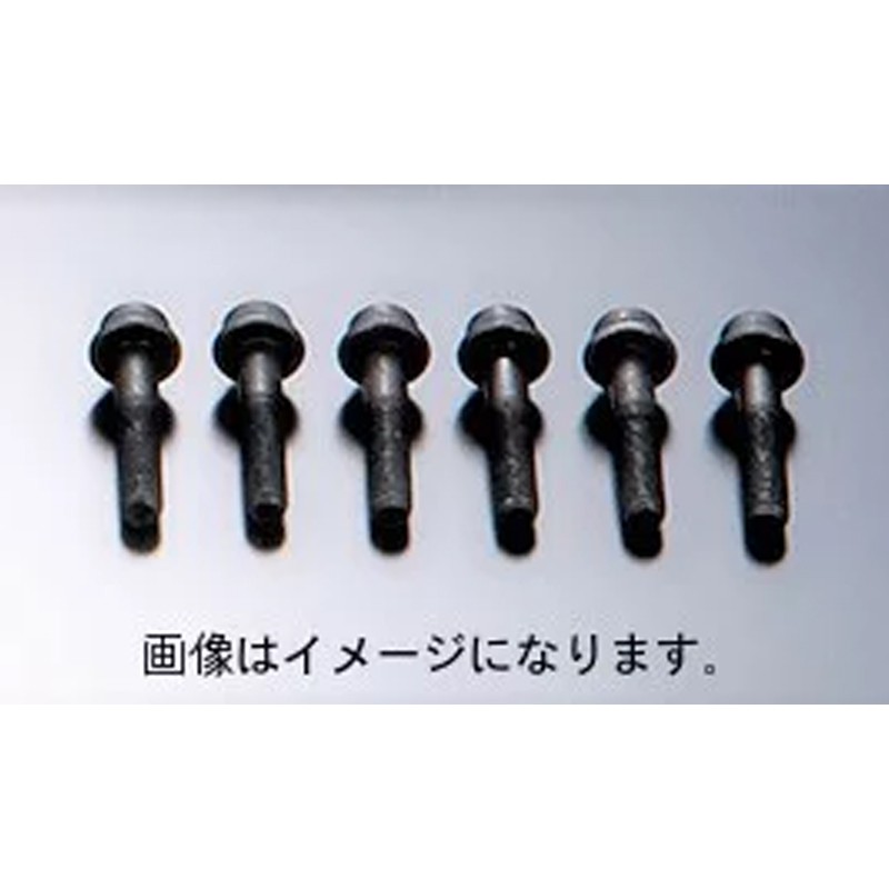 [26999-AK005] HKS Bolt Set (Cover) LA Single (Push)