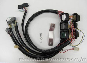 [4202-RT026] HKS Harness F-Con JZX100