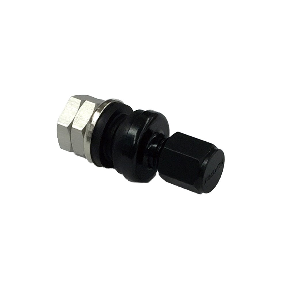 RAYS No.53 INSIDE AIR VALVE BK