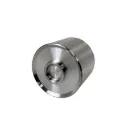AP Racing PISTON-1.50x30.2SST-SIB