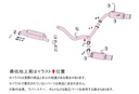 Fujitsubo A-RM+c SUBARU LEVORG 2.4 Turbo VNH FA24
