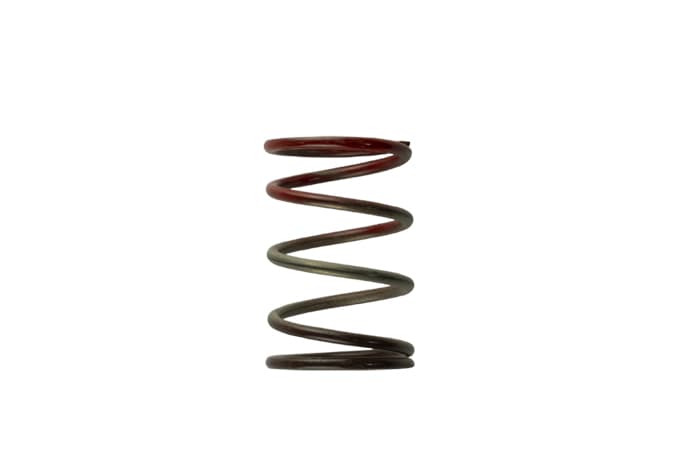 [TS-0505-2004] Turbosmart Gen4 / IWG WG38/40/45/50L 11PSI MIDDLE SPRING - BROWN/RED