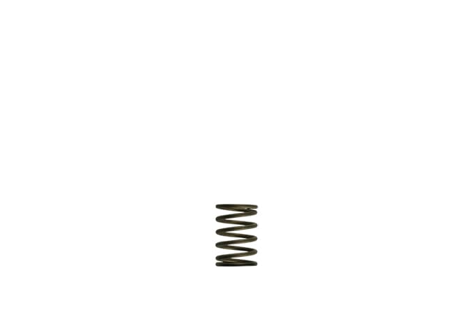 [TS-0550-3081] Turbosmart GenV WG38/40 3psi Black Inner Spring