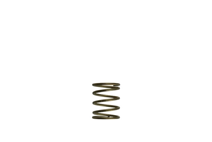 [TS-0550-3085] Turbosmart GenV WG45/50 3psi Orange Inner Spring