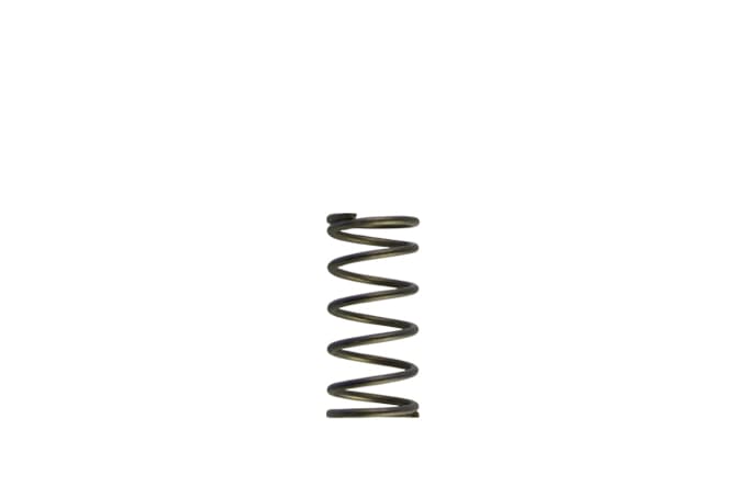[TS-0550-3090] Turbosmart GenV WG60 5psi Purple Inner Spring