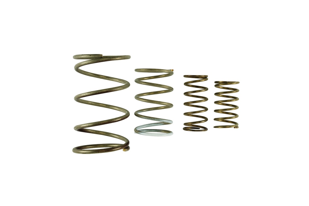 [TS-0550-3152] Turbosmart GenV WG60 Spring Replacement Kit