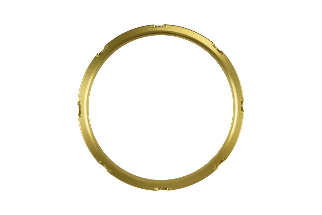 [TS-0550-3160] Turbosmart GenV WG45/50 Actuator and ProPort Collar Gold