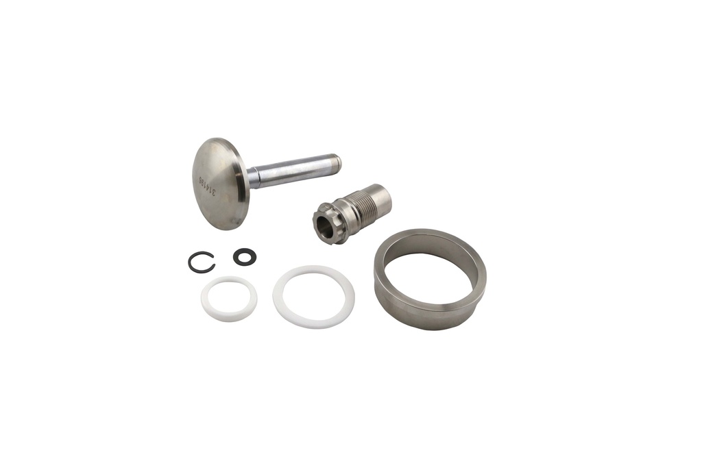 [TS-0554-3002] Turbosmart GenV WG50 Valve and Guide set