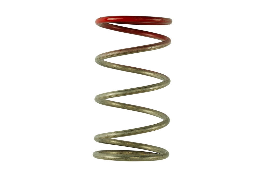 [TS-0600-2009] Turbosmart GenV IWG 14 PSI Spring