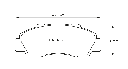 Pagid RSL 29 Brake Pads