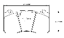 Pagid RSC1 Brake Pads