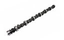 304/314  | RB30 SOHC Solid Lifters