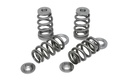 Kelford RB26DETT Extreme Beehive Spring and Ti Ret