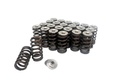 Kelford Ford 3.0 V6 Beehive Spring & Titanium Reta