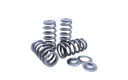 Kelford BMW B58 S58, EXTREME BEEHIVE SPRING, TI RET