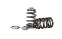 Kelford 4G63DOHC BEEHIVE SPRING & TITANIUM RETAINE