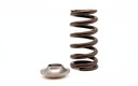 KVS99 | Harley V-Rod Beehive Springs