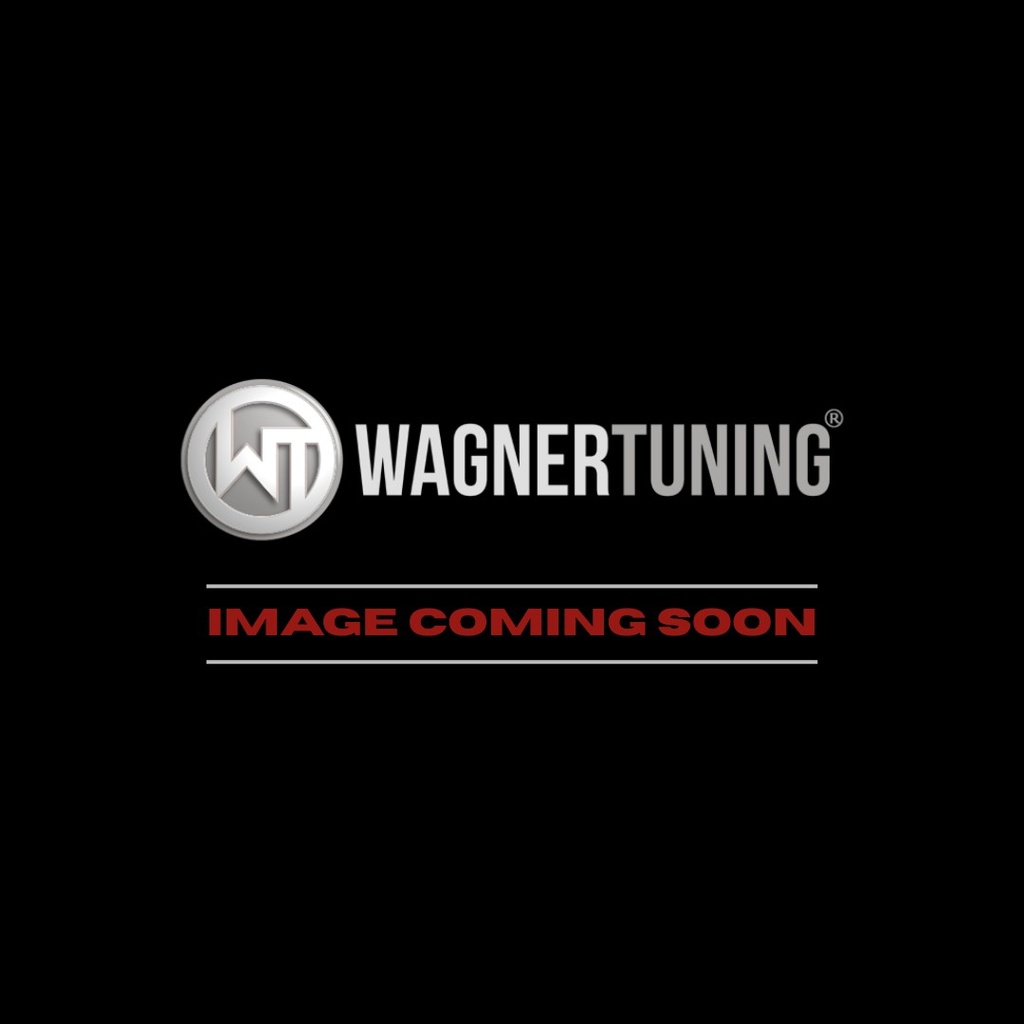 [500001016] Wagner Tuning Downpipe catless N20 engine from 10/2012 BMW 125i