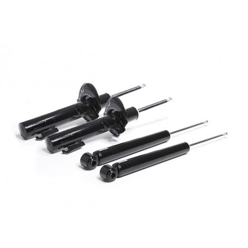 [VWR30G500] Racingline Sport Shock Absorber