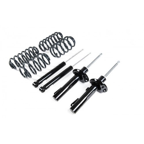 [VWR30G60R] Racingline Sport Shock Absorber