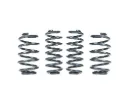 Racingline Sports Spring Kit - Audi S4 B9 3.0T Saloon