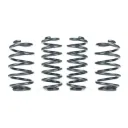Racingline Sports Spring Kit