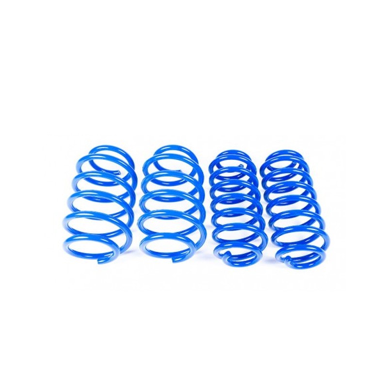 [VWR31S000] Racingline Sports Spring Kit - A5 Platform Scirocco Beetle