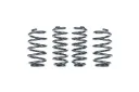 Racingline Lowering Springs Sko