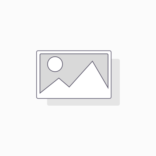 Winmax Brake Pads WE10 Compound